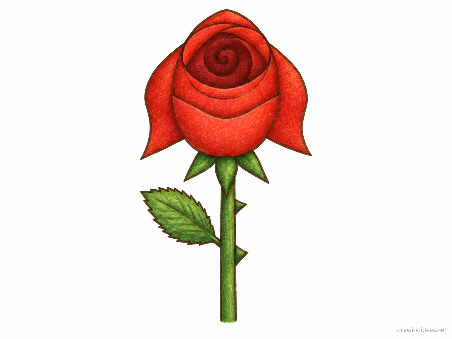 Rose drawing — hand-drawn rose illustration with ink lines and soft colors